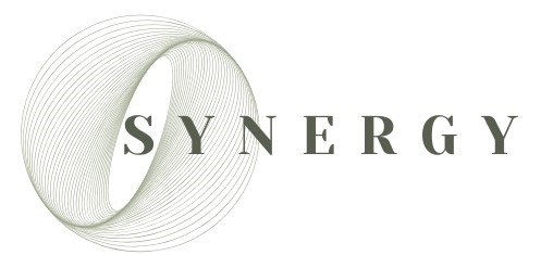 Synergy Showcase 2023 Logo