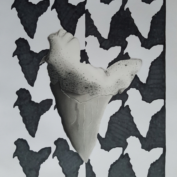Sharktooth, Darcie Li Morrison, ARTS 120