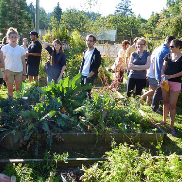 Visit to Nanaimo Community Gardens Learning about different edibles.