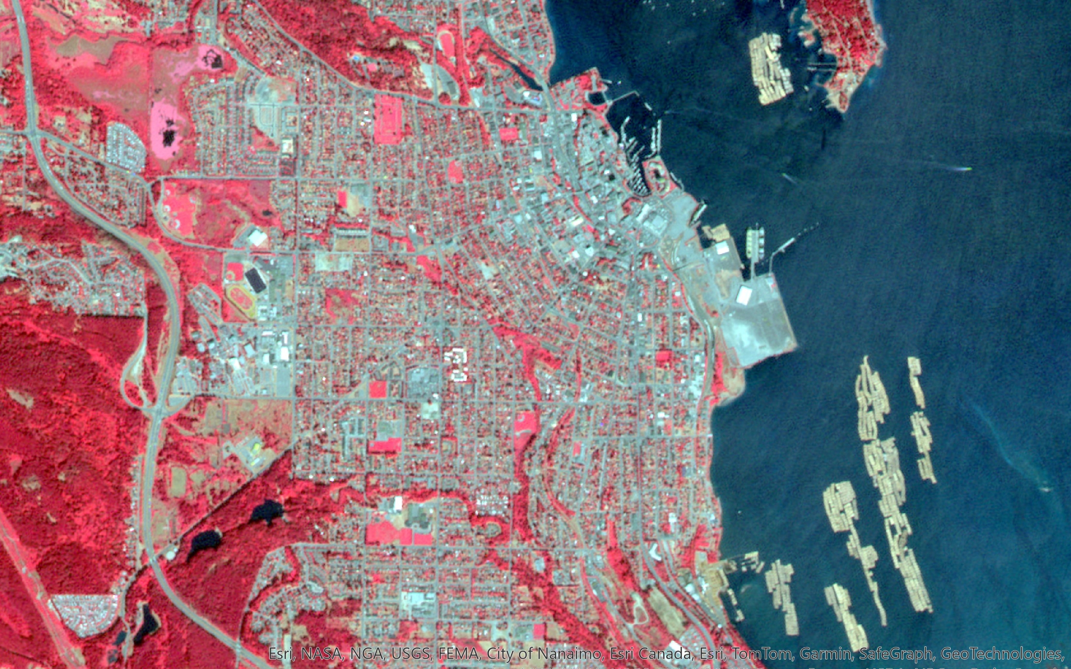 False colour satellite image of Nanaimo, BC