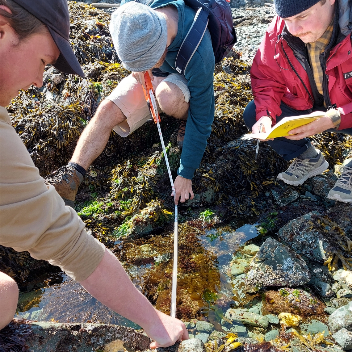 students collecting tidepool species data, Pipers Lagoon