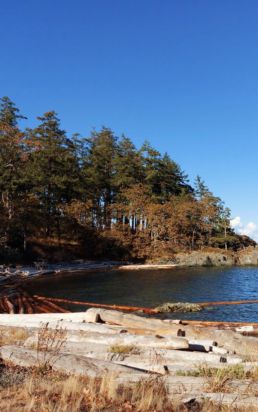Beach at Piper's Lagoon Park