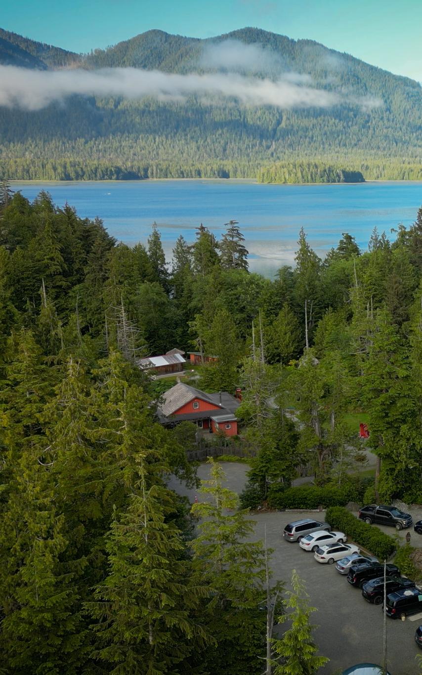 Photo showing the overview scenery of the IPCA location within a forest. The surrounding ocean and mountains are seen in the background.